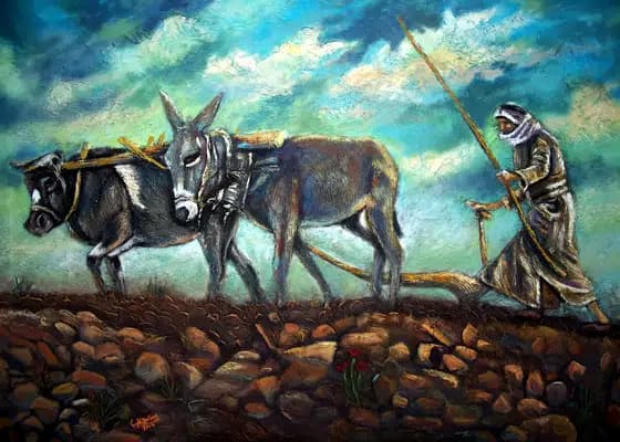 Мы возделываем и любим свою землю — Исмаил Калуб