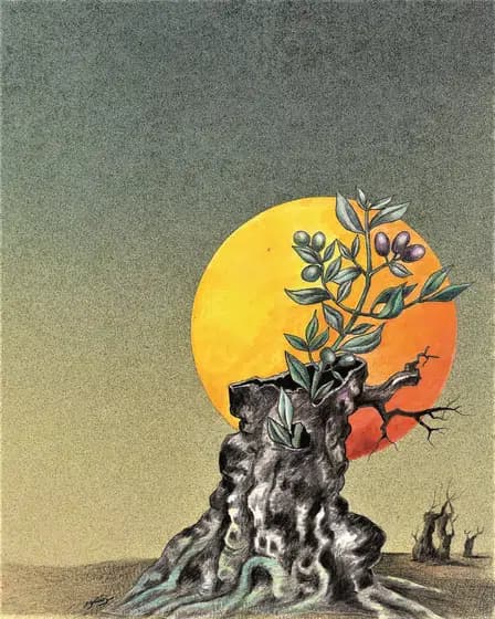 Оливковое дерево — символ жизни и надежды — Сулейман Мансур