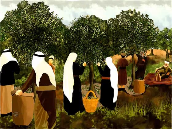 Сбор оливок в Палестине — Махмуд Аль-Булис